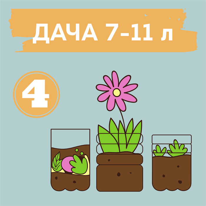 ДАЧНЫЙ КВЕСТ НА 7-11 ЛЕТ № 4 10116